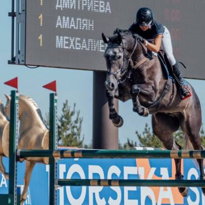Конкур и молодые лошади: Петербург показал класс на чемпионате страны, фото 4