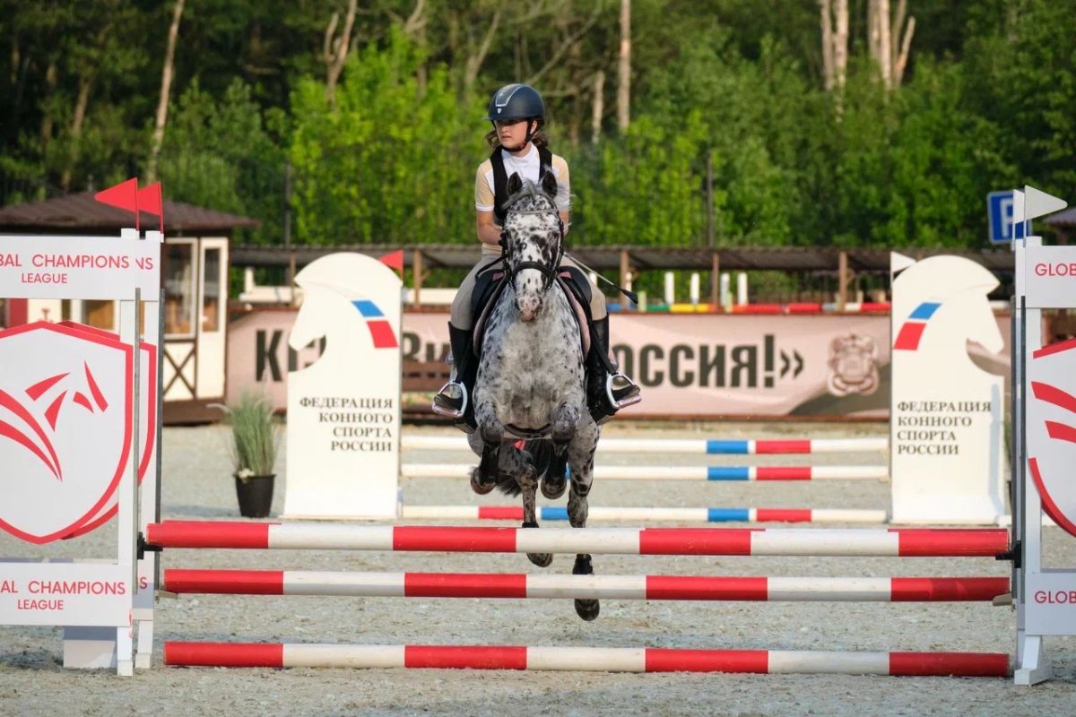 Маленький пони и большие победы: Кристина Железнова привозит «серебро» с турнира в «Виват, Россия»