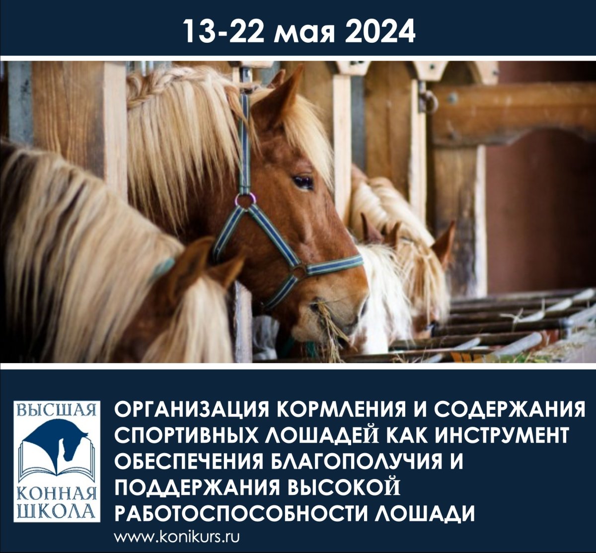 Про содержание и кормление лошадей расскажет доцент аграрного университета Ольга Шараськина