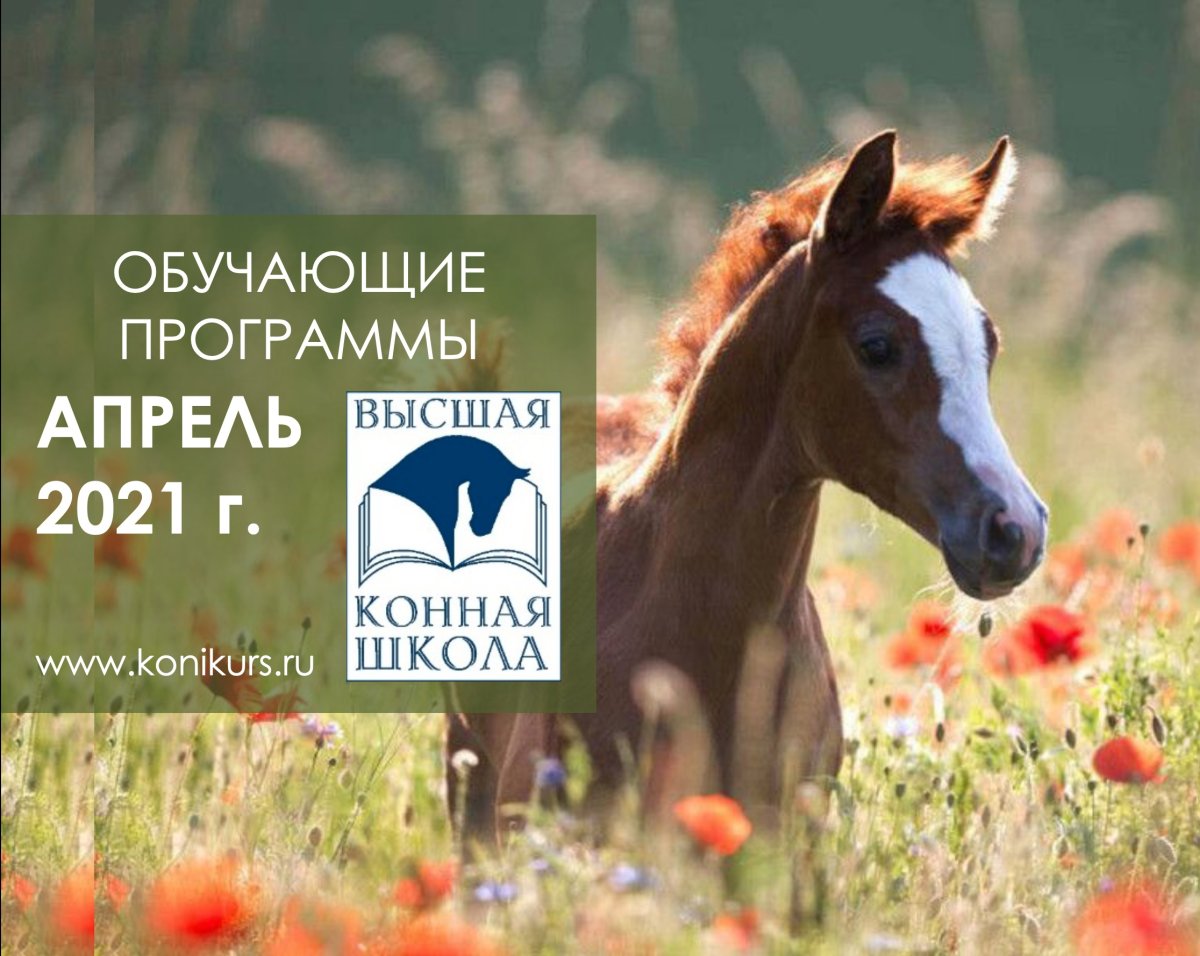 Санкт-Петербургский Государственный Аграрный университет приглашает на группу семинаров в апреле!