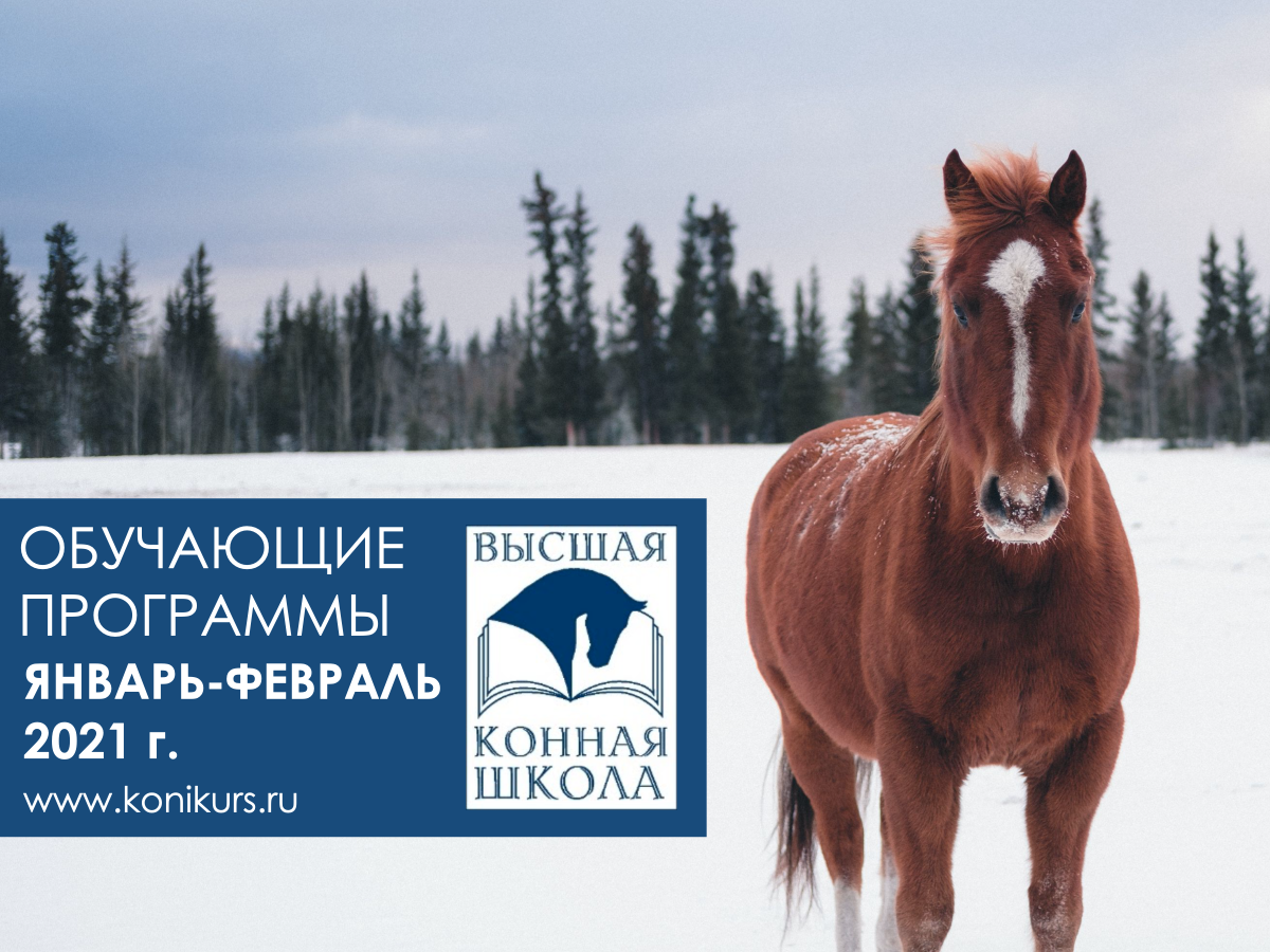 Санкт-Петербургский Государственный Аграрный университет приглашает на группу семинаров в январе и феврале!