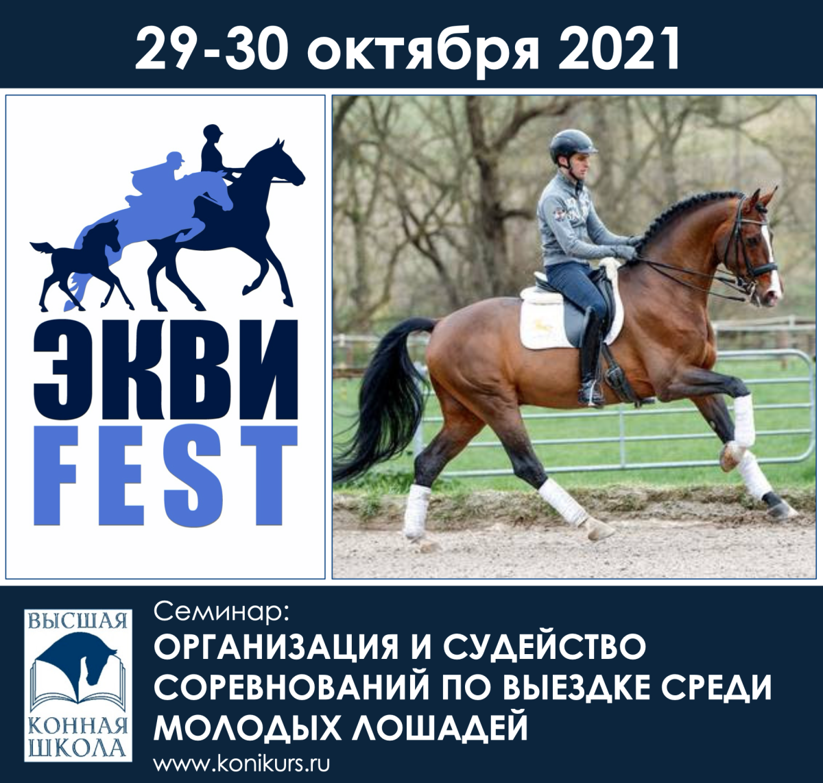 Семинар: "Организация и судейство соревнований по выездке среди молодых лошадей"