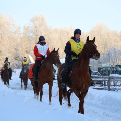 Снежные пробеги: сезон конного спорта в Санкт-Петербурге открыт в январе, фото 2