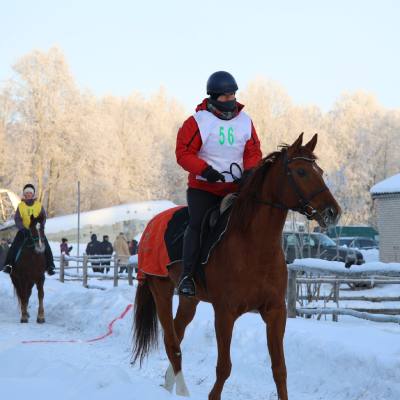 Снежные пробеги: сезон конного спорта в Санкт-Петербурге открыт в январе, фото 3
