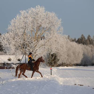 Снежные пробеги: сезон конного спорта в Санкт-Петербурге открыт в январе, фото 4