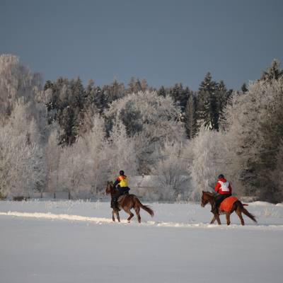 Снежные пробеги: сезон конного спорта в Санкт-Петербурге открыт в январе, фото 5