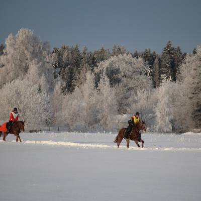Снежные пробеги: сезон конного спорта в Санкт-Петербурге открыт в январе, фото 6