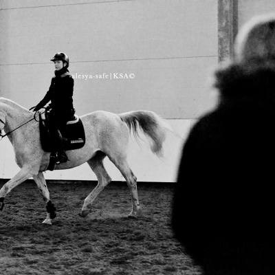 В Санкт-Петербурге на базе КСК Victory Horse Club прошел международный семинар для тренеров FEI (вводный уровень)., фото 3